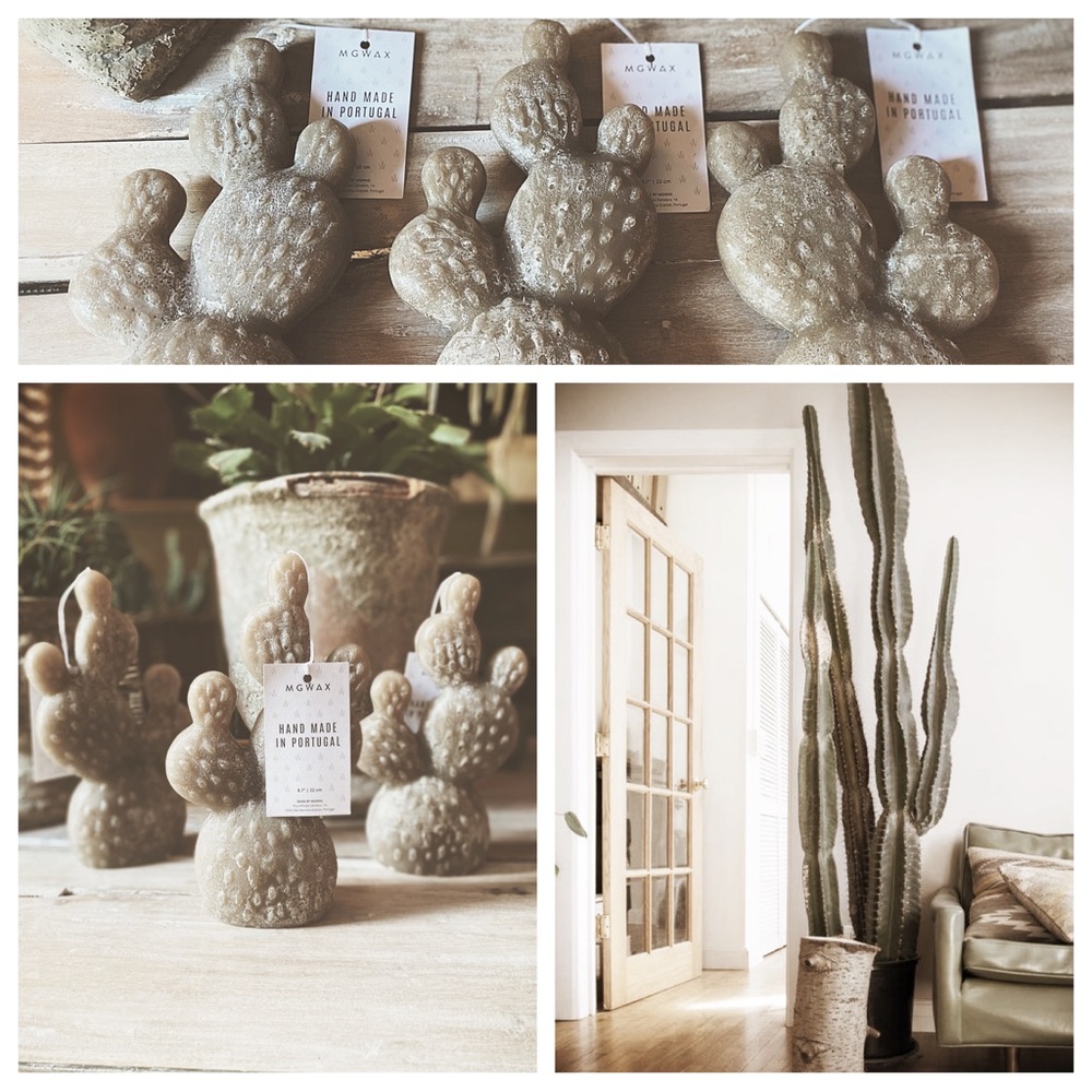 Cactus Candles - Picture 7 of 12